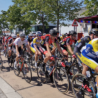 Puivelde Koerse 2019