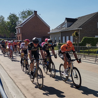 Puivelde Koerse 2019