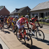 Puivelde Koerse 2019