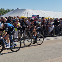 Puivelde Koerse 2019