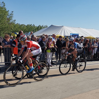 Puivelde Koerse 2019