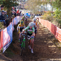 Foto's dames Zonhoven