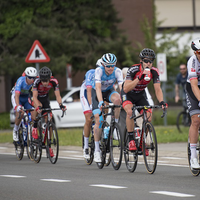 Veldrijders in rit Tongeren-Beringen / Baloise Belgium Tour