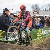 Heren Brico Cross Essen