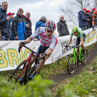 Heren Brico Cross Essen