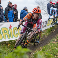 Heren Brico Cross Essen