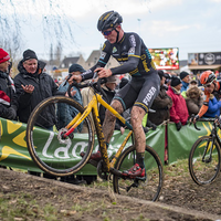 Heren Brico Cross Essen