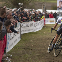 Elite heren Koppenbergcross