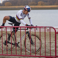 Scheldecross Antwerpen - Elite heren