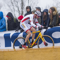 Vlaamse Duinencross - Elite heren 