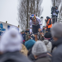 Vlaamse Duinencross - Elite heren 