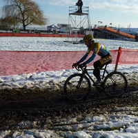 Foto's beloften Loenhout