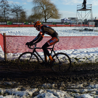 Foto's beloften Loenhout