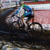 Foto's beloften Loenhout
