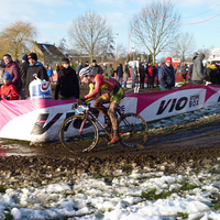 Foto's beloften Loenhout