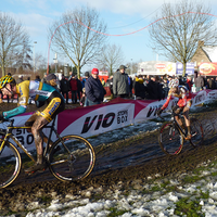 Foto's beloften Loenhout