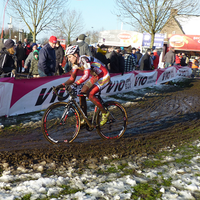 Foto's beloften Loenhout