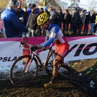 Foto's beloften Loenhout