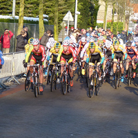 Foto's beloften Loenhout