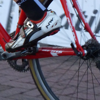 Foto's beloften Loenhout