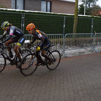 Foto's dames Loenhout