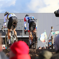 Aardbeiencross Hoogstraten
