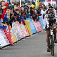 Aardbeiencross Hoogstraten