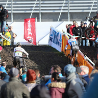 Aardbeiencross Hoogstraten