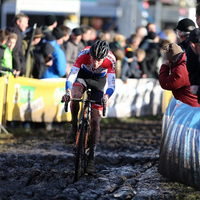 Aardbeiencross Hoogstraten