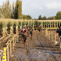 Kermiscross Ardooie 2021 - heren