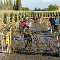 Kermiscross Ardooie 2021 - heren