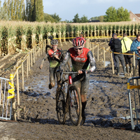 Kermiscross Ardooie 2021 - heren