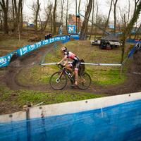 Flandriencross Hamme 