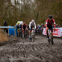 Flandriencross Hamme 