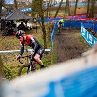 Flandriencross Hamme 