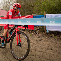 Flandriencross Hamme 