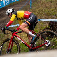 Flandriencross Hamme 