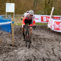 Flandriencross Hamme 