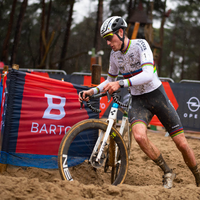 Krawatencross Lille