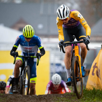 Aardbeiencross Merksplas 2023