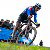 Wereldbekercross Dendermonde