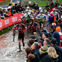 Wereldbekercross Dendermonde