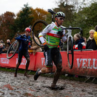 Wereldbekercross Dendermonde
