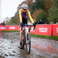 Wereldbekercross Dendermonde