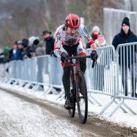 BK Cyclocross Beringen 2026 op zondag