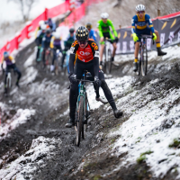 BK Cyclocross Beringen 2026 op zondag