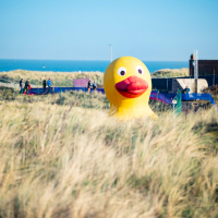 EK Veldrijden 2025 op zondag