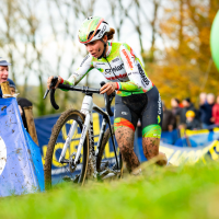 Koppenbergcross 2025