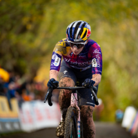 Koppenbergcross 2025