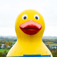 Koppenbergcross 2025